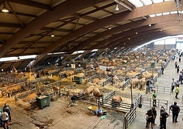 Recinto del Mercado Nacional de Ganado de Pola de Siero, en la última edición de Agrosiero.
