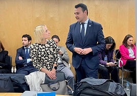 La directora general de Presupuestos y Finanzas, Mar García Salgado, y el consejero de Hacienda, Guillermo Peláez, en la última reunión del Consejo de Política Fiscal y Financiera.