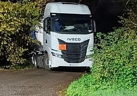 El camión que ha tenido una fuga de anhídrico acético.