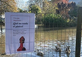 Cartel informativo instalado en el parque de Isabel la Católica, donde se detectó un foco de gripe aviar, con la muerte de dos ocas.