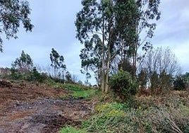 Parte de la parcela en la que se prevé construir el espacio para autocaravanas.