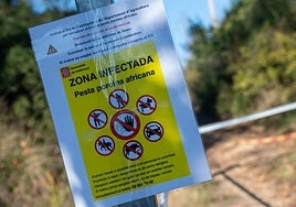 Zona en cuarentena por la Peste Porcina Africana en Cerdanyola del Vallès, a 1 de diciembre de 2025, en Barcelona, Cataluña (España).