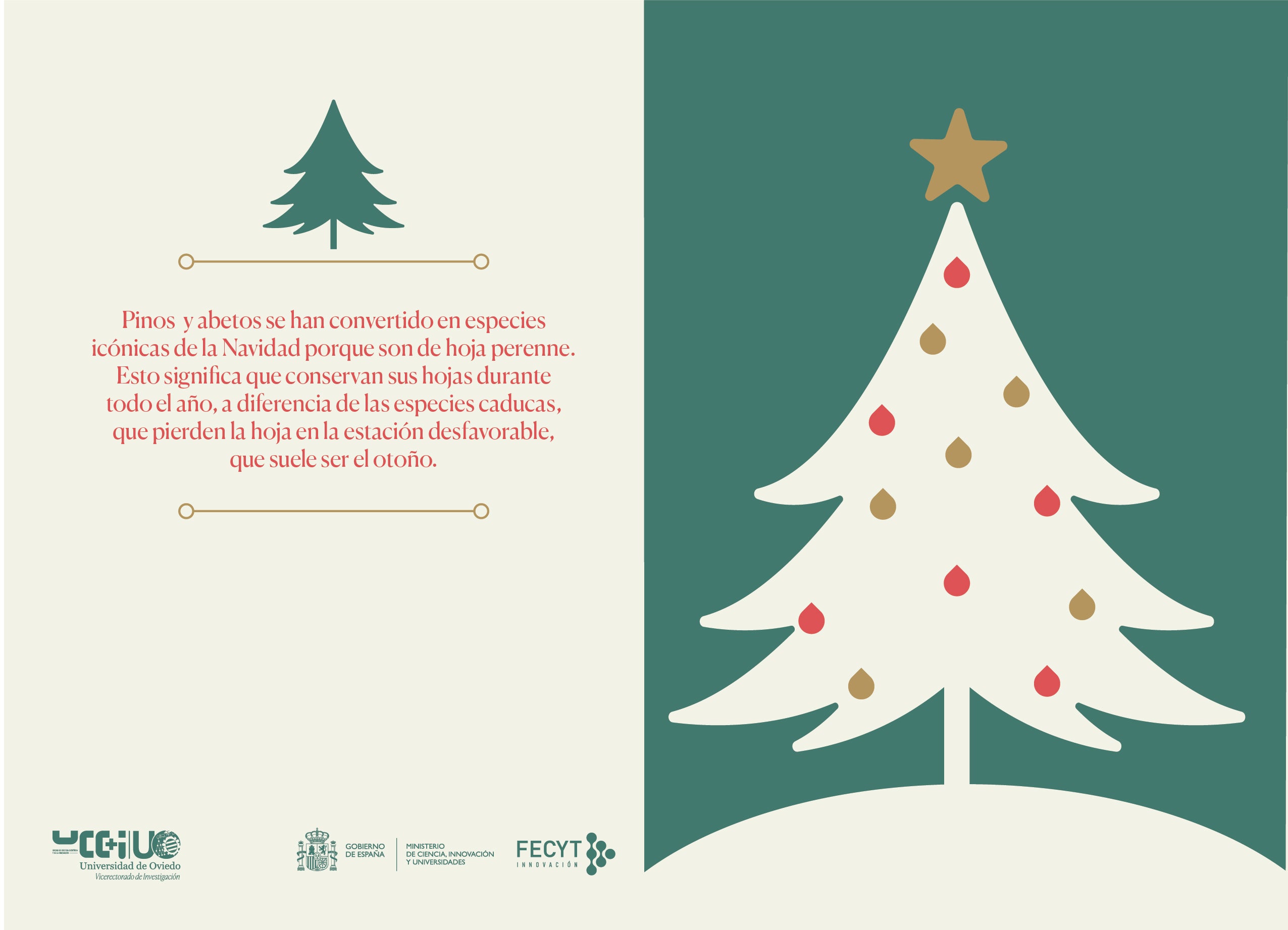 Una Navidad cargada de ciencia: postales y calendario de Adviento para felicitar las fiestas de la Universidad de Oviedo