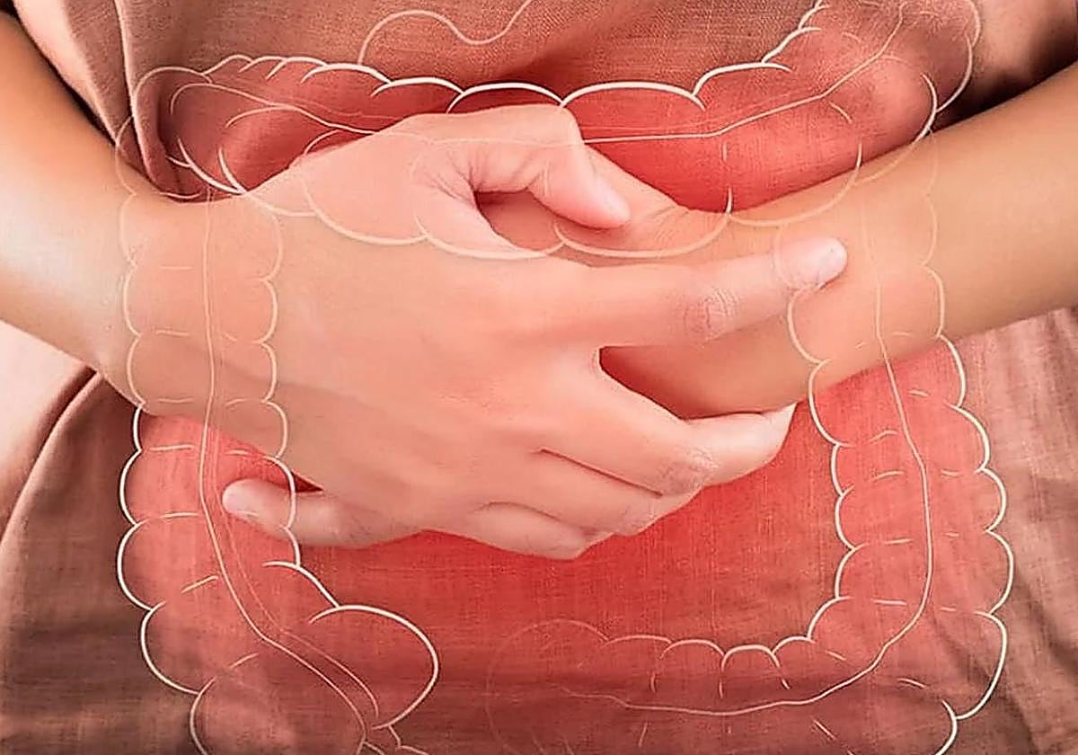 Una nueva variante del norovirus es la responsable del incremento de brotes de gastroenteritis de los últimos años.