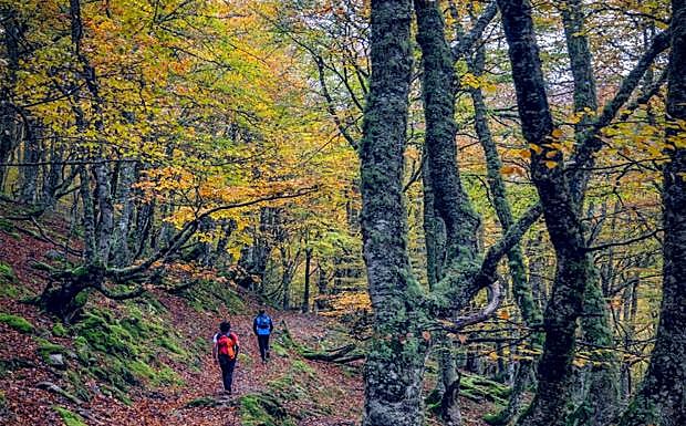 La primera etapa del trekking tiene previsto recorrer alrededor de 14 kilómetros por los alrededores del Pico La Senda. Quién quiera, de forma opcional, podrá también coronar esa cumbre.