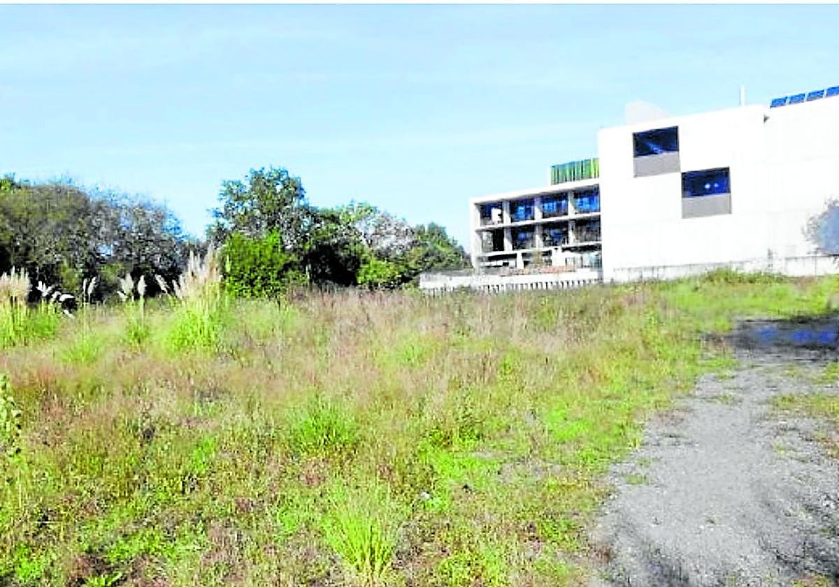 Zona norte de la parcela elegida para este desarrollo urbanístico.