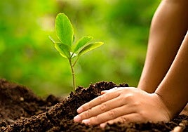 El precio de los fertilizantes podría elevarse hasta 100 euros por hectárea en 2026