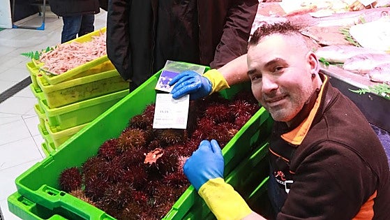 Los primeros oricios asturianos vendidos en pescaderías de Gijón, a 29,90 euros el kilo
