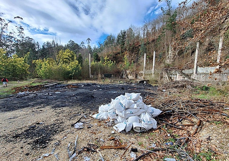 El futuro albergue de animales de Avilés: años de retrasos, sin obras y una parcela a merced del vandalismo