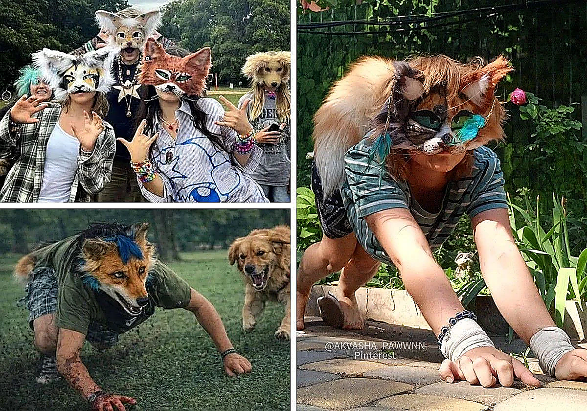 Quiénes son los 'therian'? La tendencia a medio camino entre lo humano y lo  animal llega a Gijón | El Comercio: Diario de Asturias