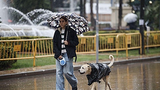 Qué hacer los días de lluvia con tu perro