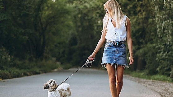 Semana Santa con mascotas: cómo evitar que los viajes afecten al bienestar emocional de perros y gatos
