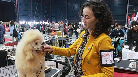 Espacio Mascotas de Gijón | «Las exposiciones son para mejorar la raza»