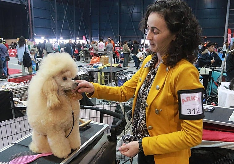 «Las exposiciones son para mejorar la raza»
