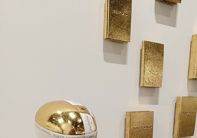 La tempestad del Cantábrico conquista la capital