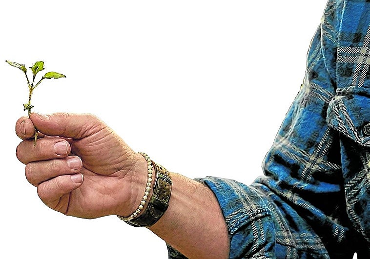 Las manos detrás de la alta cocina