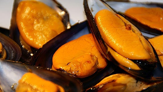 Truco para engordar tus mejillones y disfrutar de un jugoso bocado
