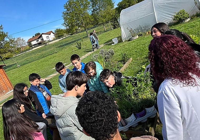 El huerto de toda la vida crece en las aulas asturianas