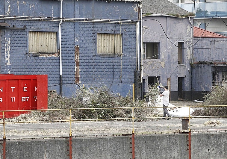Pymar inicia el desbroce de sus terrenos en Naval Gijón mientras espera el visto bueno para actuar en las naves
