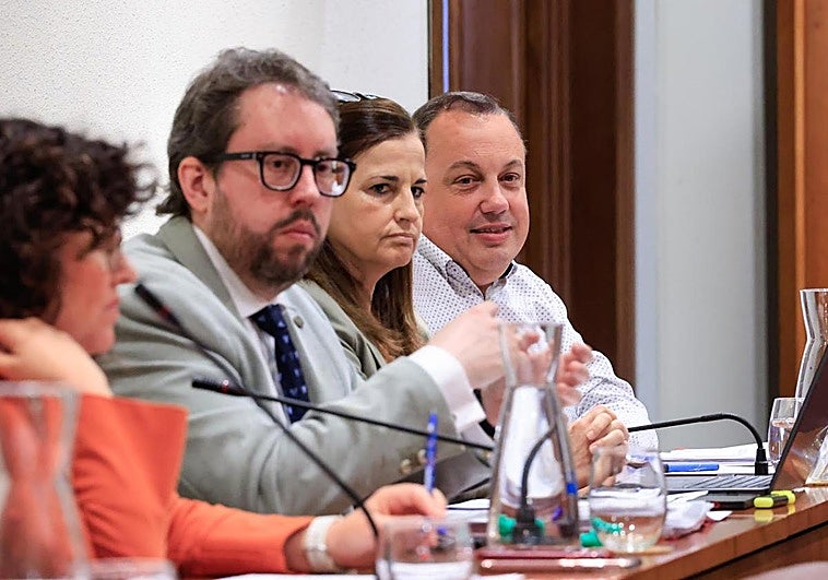 «La implantación de la zona de bajas emisiones en Avilés será progresiva»