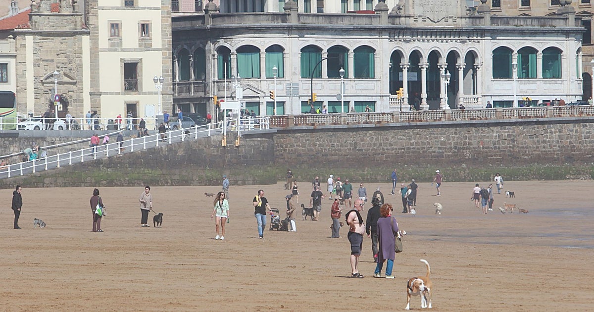 La ordenanza de bienestar animal de Gijón limitará a 8 horas la estancia de mascotas en balcones