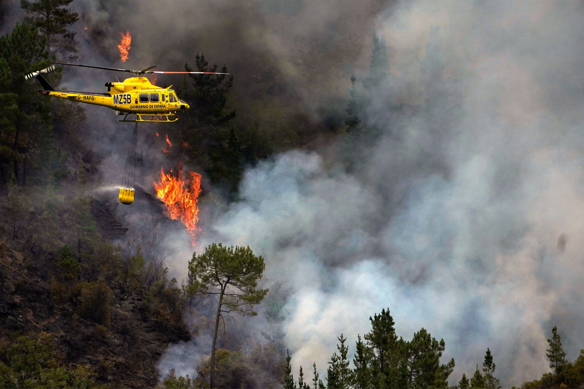 Incendios y la economía del fuego
