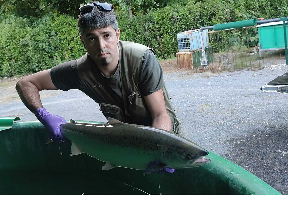 Fallece tras dos meses en el Hospital de La Paz el vicepresidente de la Sociedad de Pescadores Las Mestas del Narcea