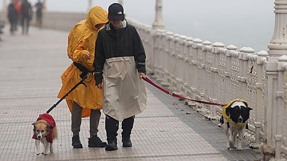 ¿Lluvia y perros?: «En Asturias salimos igual, pero los paseos son más cortos»