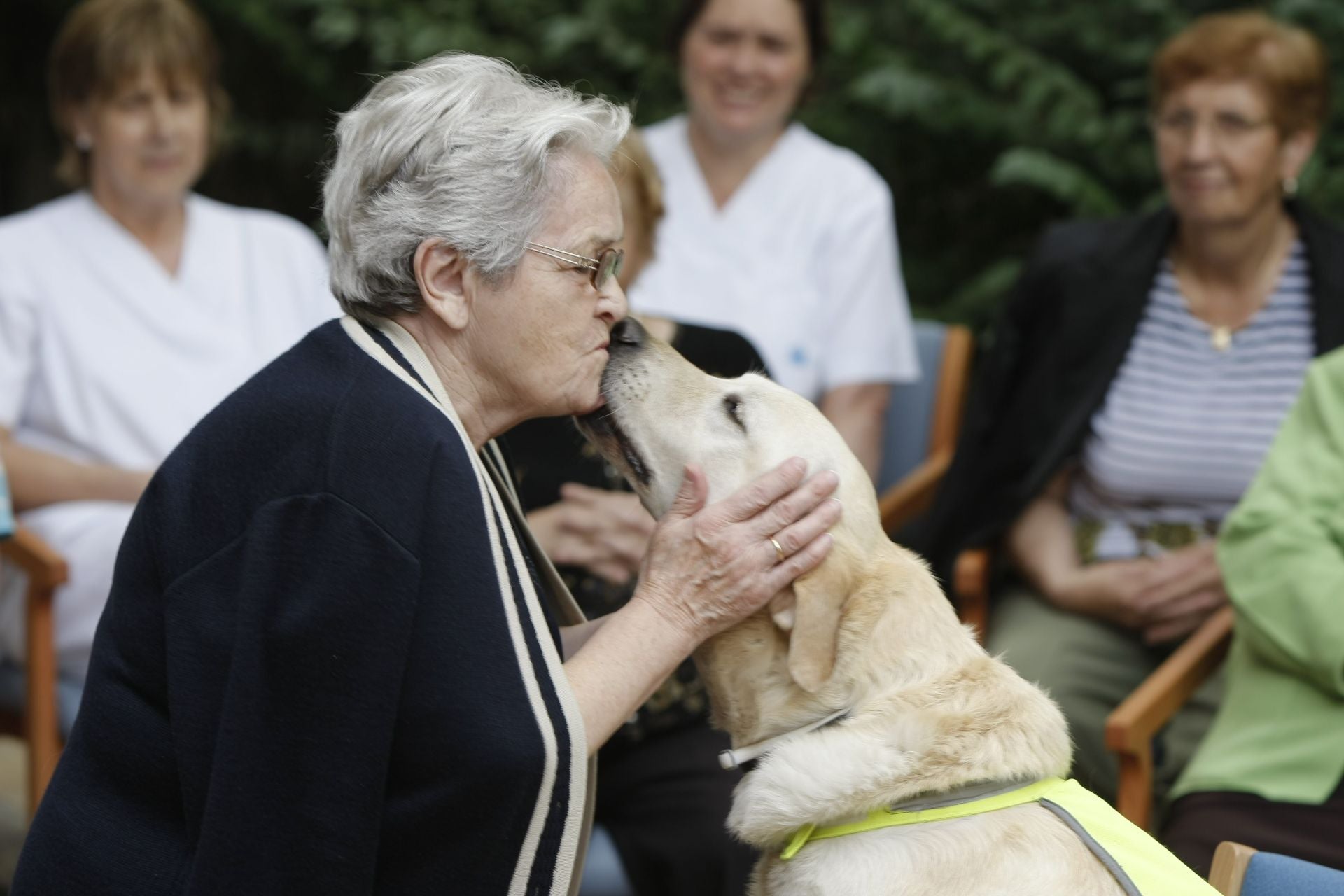 Signos de envejecimiento en los perros: ¿a qué años entran en la tercera edad?