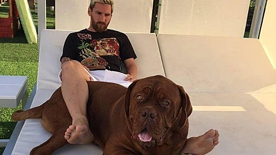 La familia de Messi tiene un integrante de Asturias: su perro 'Hulk'