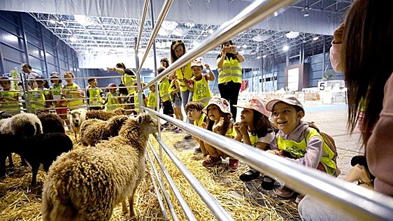 De asturcones a conejos: 800 escolares disfrutan antes que nadie de la Feria de San Antonio en Gijón