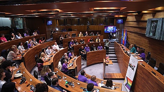 Asturias reivindica en la Junta General los derechos LGTBI frente «al avance de los discursos de odio»