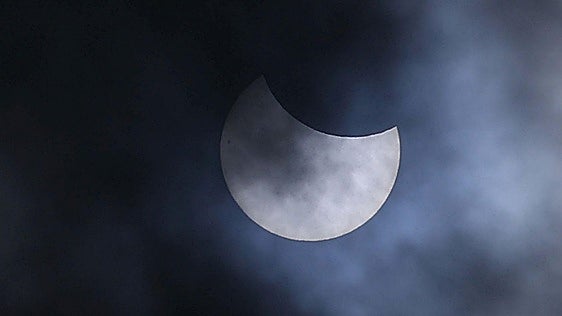 ¿Qué harán los animales durante el eclipse?