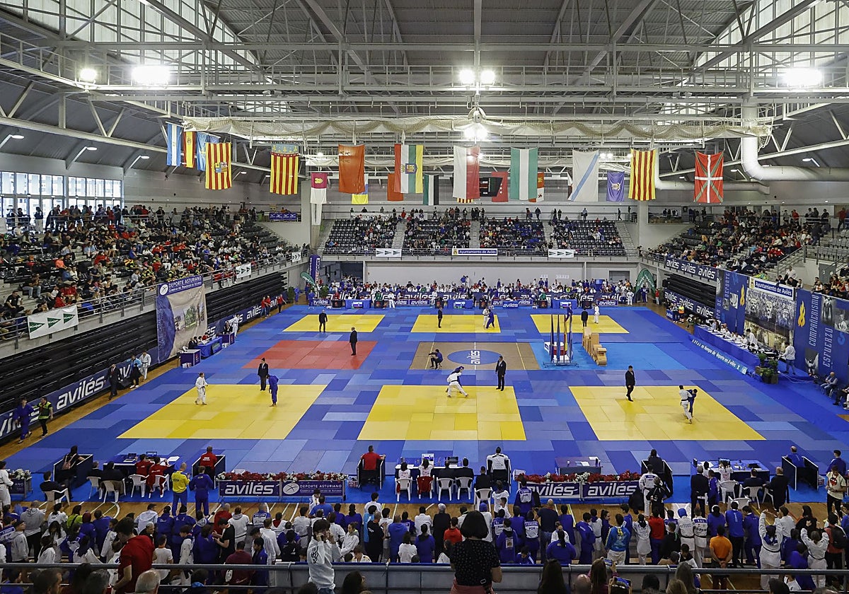 Villa de Avilés Judo Tournament Draws 7,000 People, elcomercio.es Says