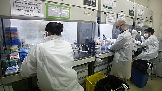El Principado pide «tiempo» para facilitar el relevo investigador en la Universidad de Oviedo tras la caída en el ranking de Shanghái