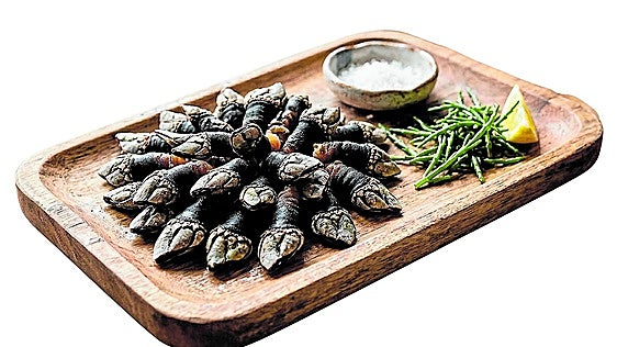 Percebes, una joya marina repleta de sabor