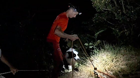 El complejo rescate de 'Covi', un perro «muy tranquilo» que se cayó a un acantilado de Ribadesella