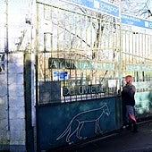 Entrada al albergue de animales de Oviedo.