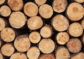 Asturias se posiciona como destino para atraer inversiones forestales