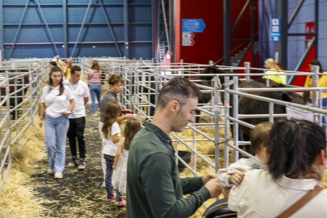 Agropec abre sus puertas en Gijón