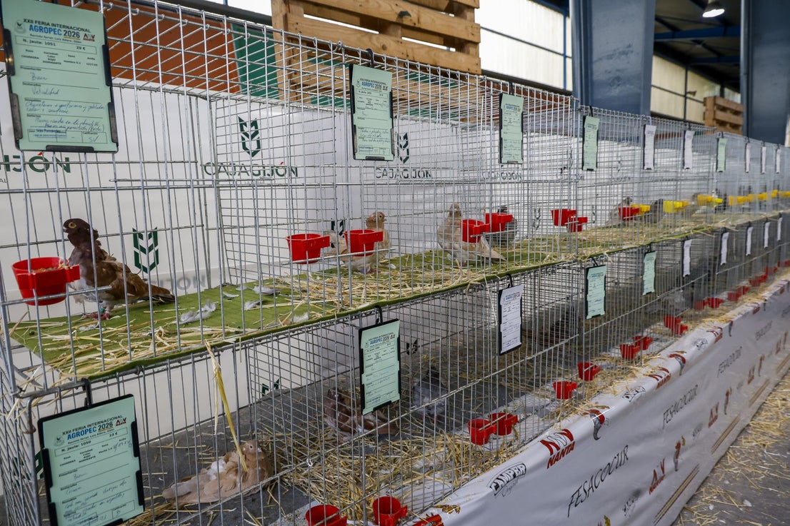 Agropec abre sus puertas en Gijón