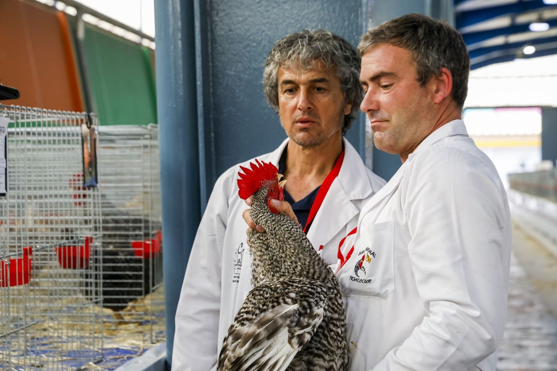 Agropec abre sus puertas en Gijón