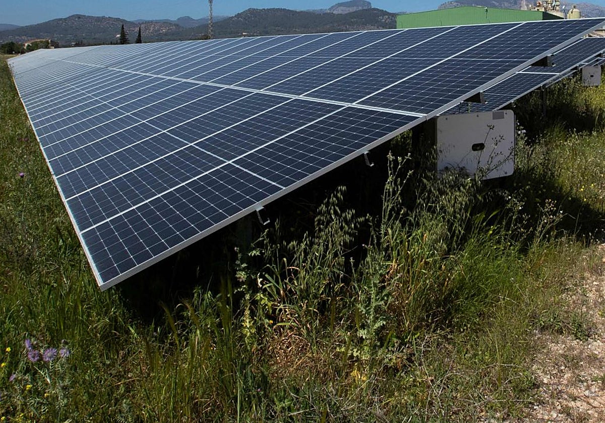 La planta solar fotovoltaica que Nexum proyecta en Grado: 30 años de vida útil sobre 3,4 hectáreas