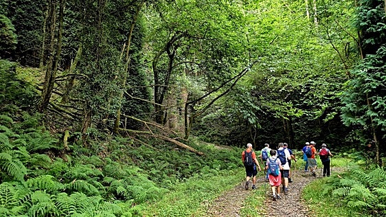 La Ruta de las Brañas Vaqueiras: un camino para descubrir la memoria de Cudillero