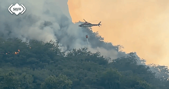 Las noticias que no te puedes perder: domingo abrasador con un peligroso incendio en Picos