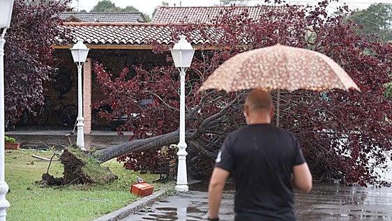 Las tormentas anegan varias zonas de Asturias: un 'tornado' en Antromero, inundaciones en Avilés y Oviedo