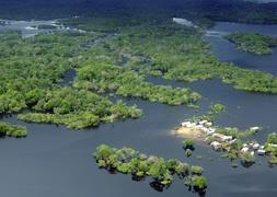 Latinoamérica, un imperio de biodiversidad con problemas ambientales críticos