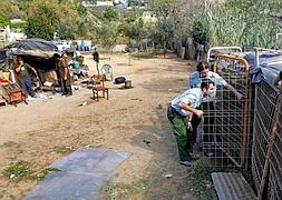 Mueren dos indigentes en Mataró atacados por una jauría de perros
