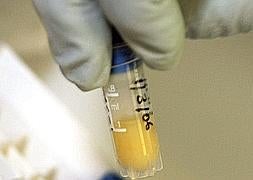 Asistentes de investigación catalogan muestras de plasma. / Tim Wimborne (Reuters)