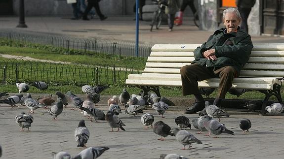 Un pensionista descansa en un parque. 
